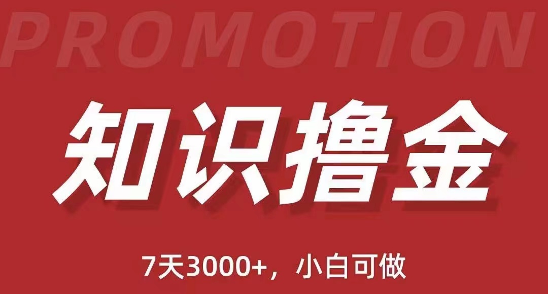 抖音知识撸金项目：简单粗暴日入1000+执行力强当天见收益(教程+资料)-魔王知识星球