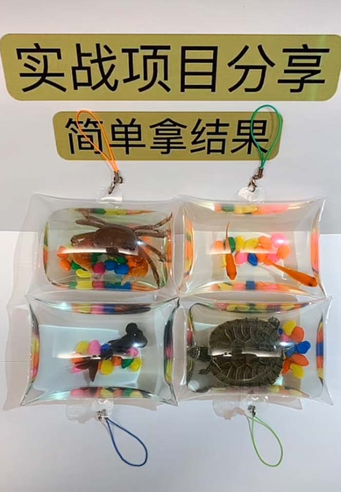 图片[2]-最近抖音很火的泡泡鱼手工小成本地摊创业项目，日賺500+项目课程解析-魔王知识星球