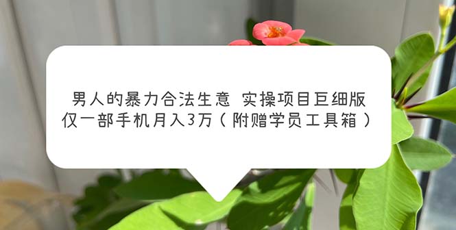 男人的暴力合法生意实操项目巨细版：仅一部手机月入3w（附赠学员工具箱）-魔王知识星球