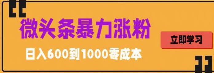 微头条暴力涨粉技巧搬运文案就能涨几万粉丝，简单0成本，日赚600-魔王知识星球