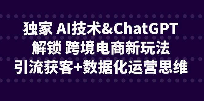 独家 AI技术&amp;ChatGPT解锁 跨境电商新玩法，引流获客+数据化运营思维