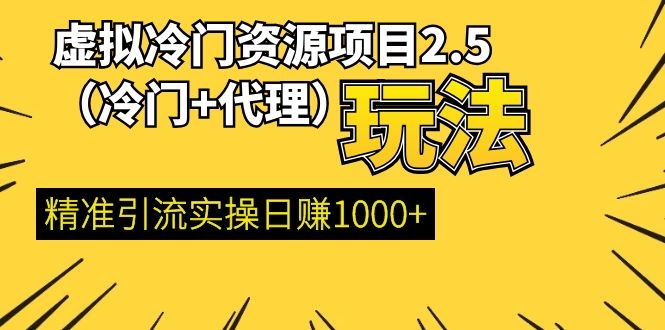 虚拟冷门资源项目2.5（冷门&amp;代理玩法） 精准引流实操日赚1000+(更新中)