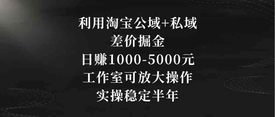 利用淘宝公域+私域差价掘金，日赚1000-5000元，工作室可放大操作，实操&#8230;