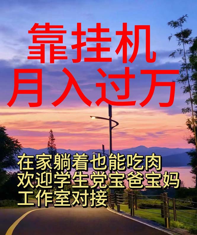 靠挂机，日入1000+，躺着也能吃肉，适合宝爸宝妈学生党工作室，电脑手&#8230;