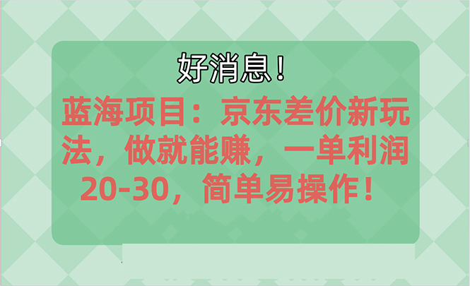 越早知道越能赚到钱的蓝海项目：京东大平台操作，一单利润20-30，简单&#8230;