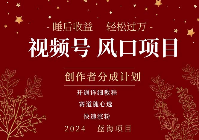拥有睡眠收益的微信视频号大风口项目，轻松月入过万+，多赛道选择，可&#8230;