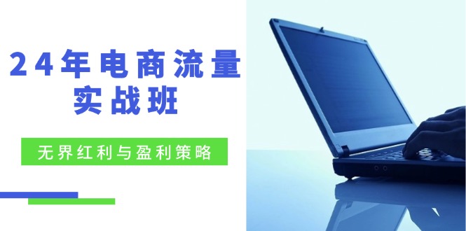 24年电商流量实战班：无界 红利与盈利策略，终极提升/关键词优化/精准&#8230;