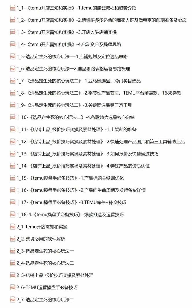 图片[1]-2024-TEMU拼多多·跨境开店、运营、选品（25节视频课）