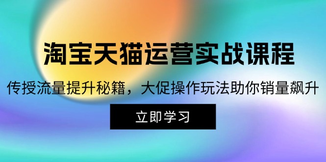 淘宝&amp;天猫运营实战课程，传授流量提升秘籍，大促操作玩法助你销量飙升